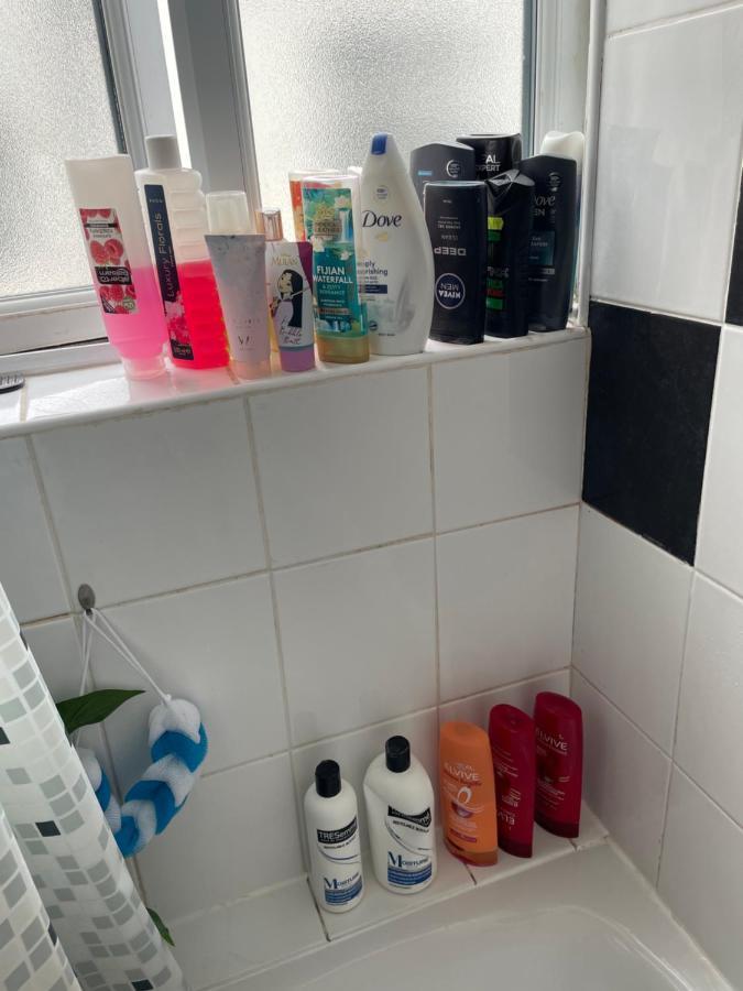Friendly House Apartman London Kültér fotó